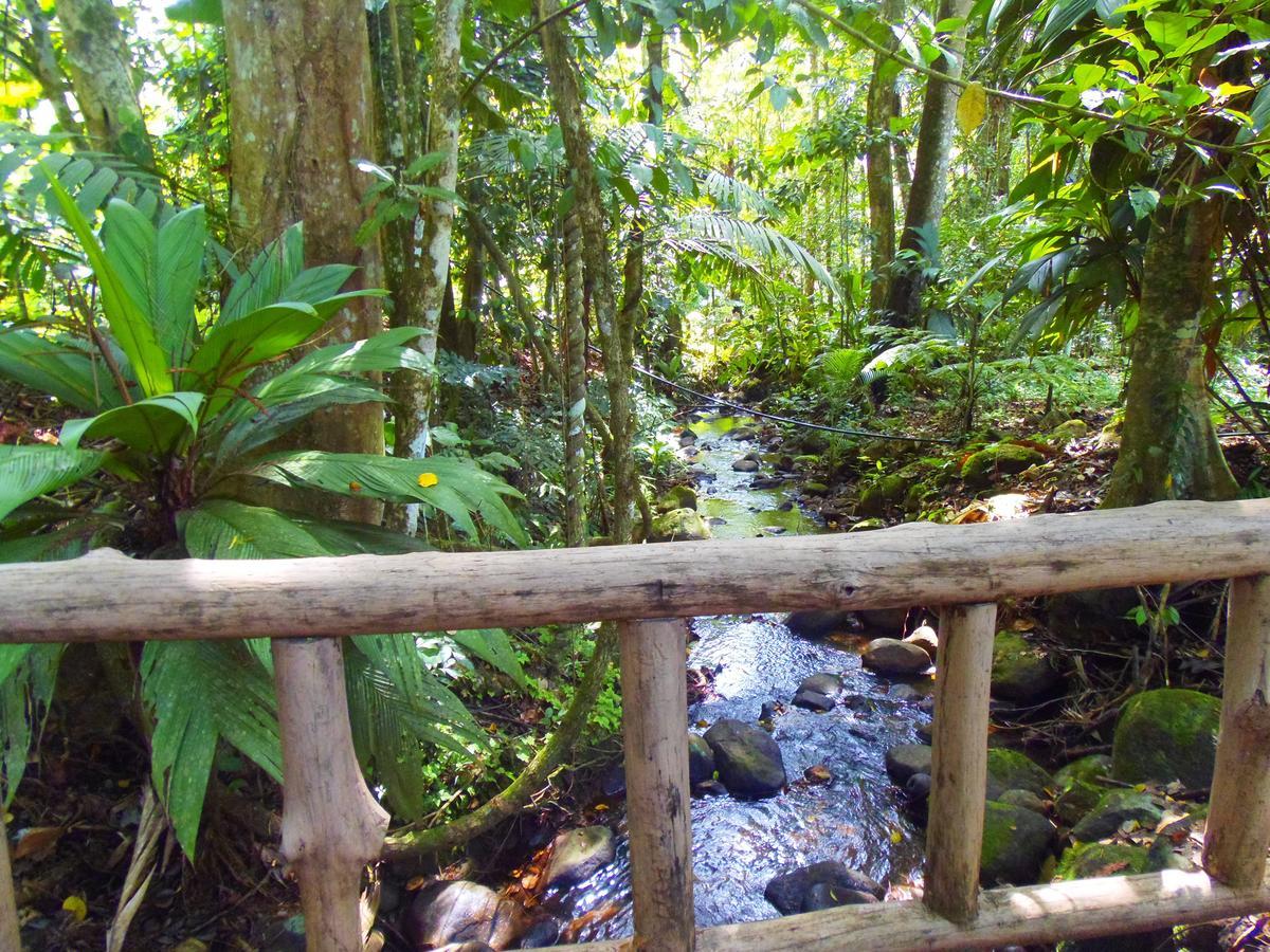 Hotel Valle Azul San Gerardo Kamer foto