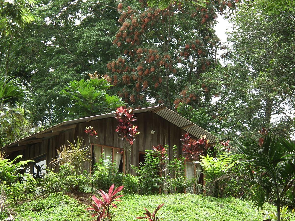 Hotel Valle Azul San Gerardo Kamer foto