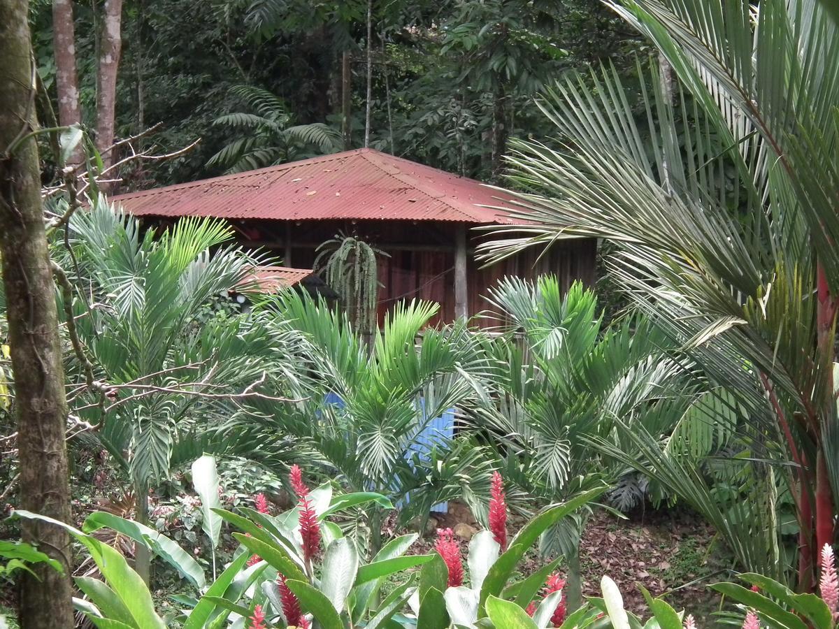 Hotel Valle Azul San Gerardo Kamer foto