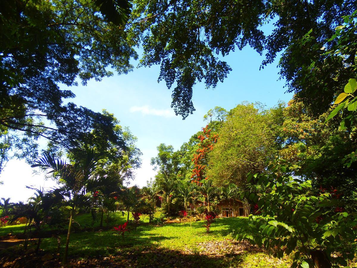 Hotel Valle Azul San Gerardo Kamer foto