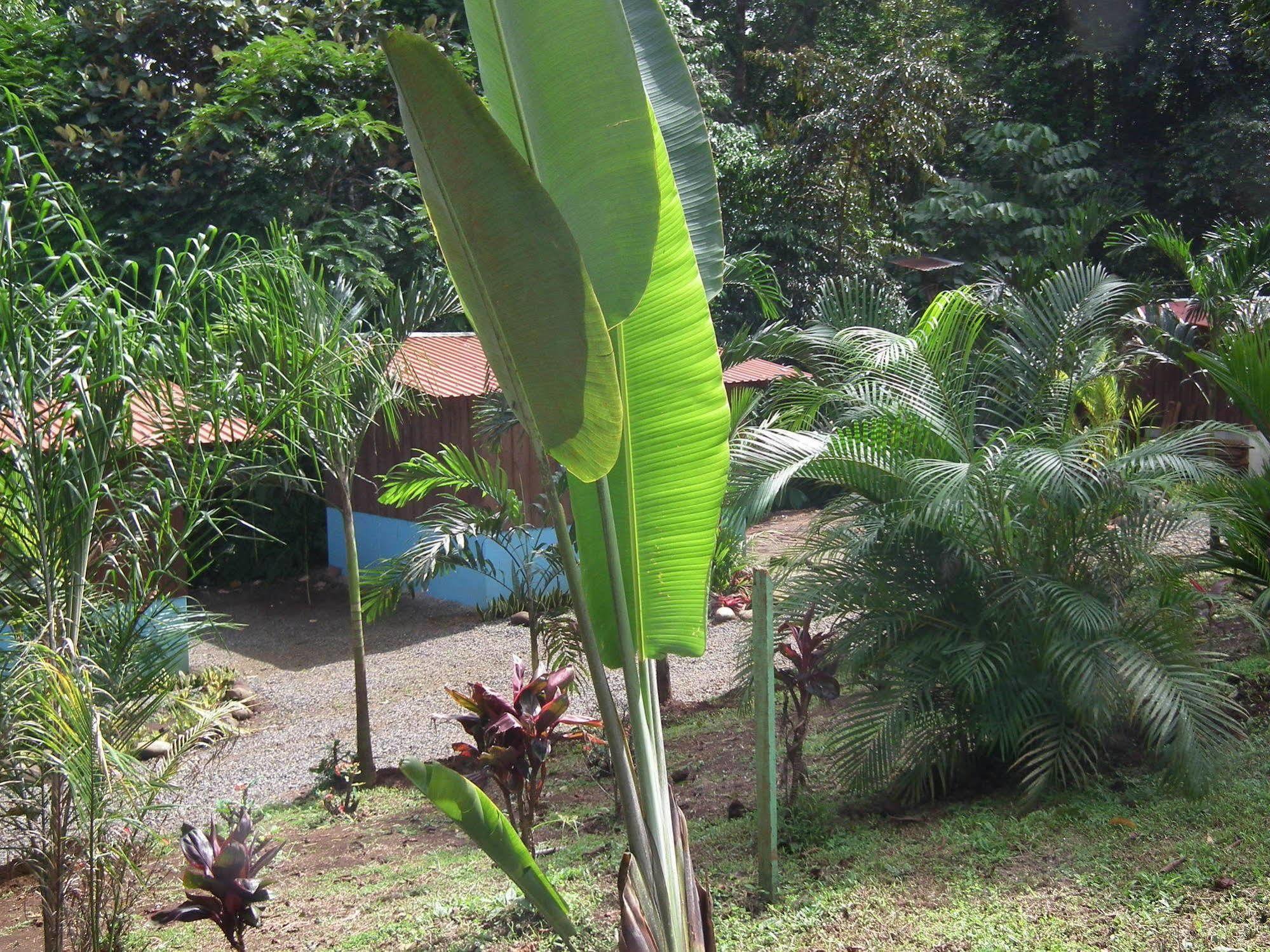 Hotel Valle Azul San Gerardo Buitenkant foto