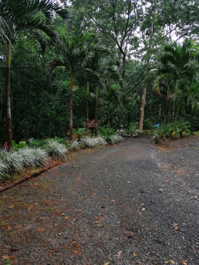 Hotel Valle Azul San Gerardo Buitenkant foto